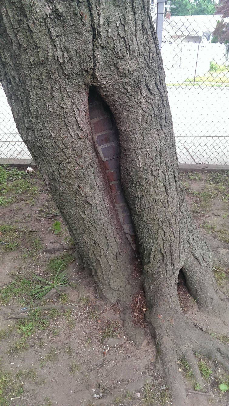 Фотографии удивительных вещей, которые можно увидеть раз в жизни вещи раз в жизни, удивительные вещи, необычные явления, редкие фотографии