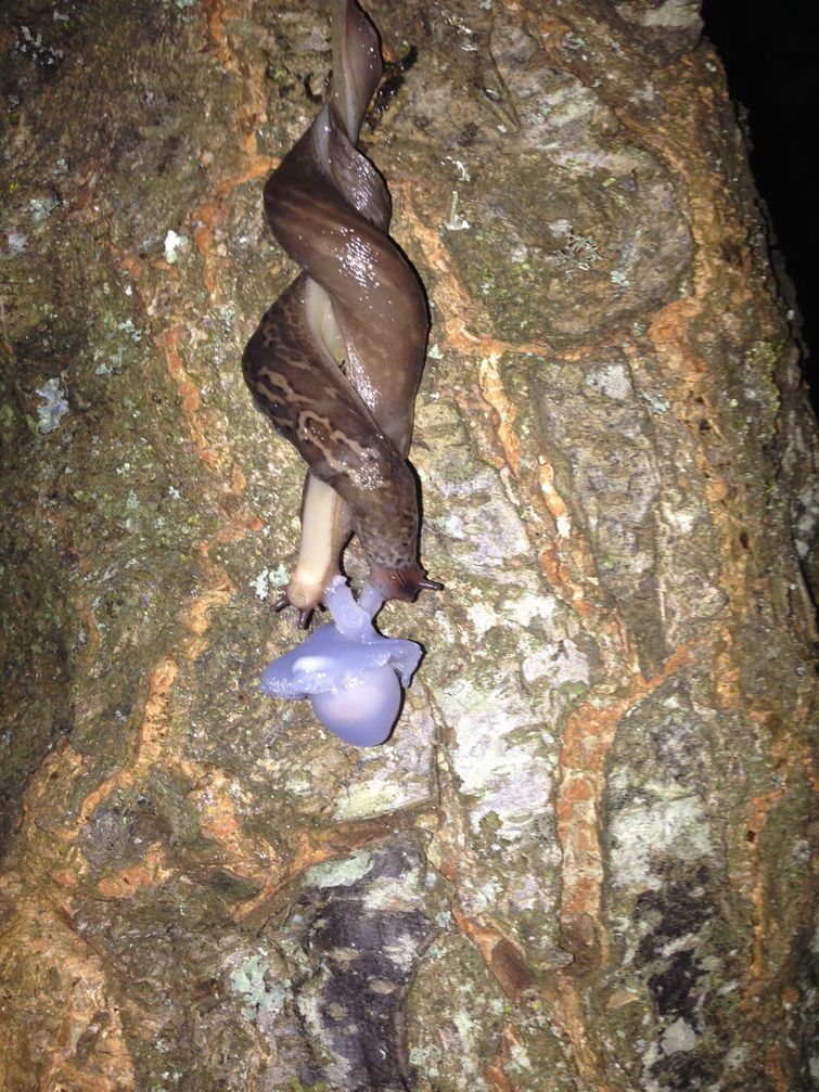 Фотографии удивительных вещей, которые можно увидеть раз в жизни вещи раз в жизни, удивительные вещи, необычные явления, редкие фотографии