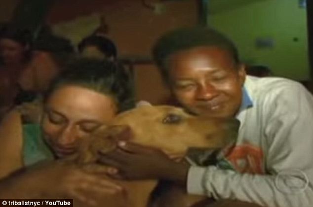 собака проходит опасный путь, чтобы накормить своих друзей, Lilica dog