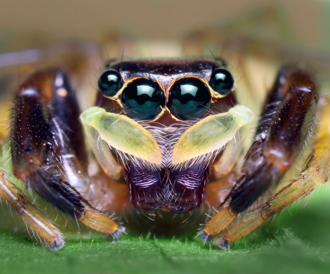 National Geographic за июль 2014, лучшие фотографии National Geographic