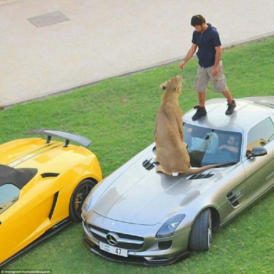 роскошный отдых Дубая, отдых в Дубае, роскошь и шик Дубая, жизнь в Дубае