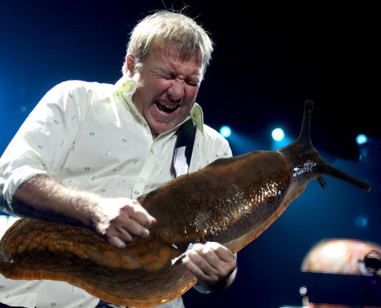 Слизняки вместо гитар в руках увлеченных гитаристов слизняки вместо гитар, подставил гитаристам слизней вместо гитар