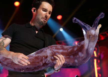 Слизняки вместо гитар в руках увлеченных гитаристов слизняки вместо гитар, подставил гитаристам слизней вместо гитар