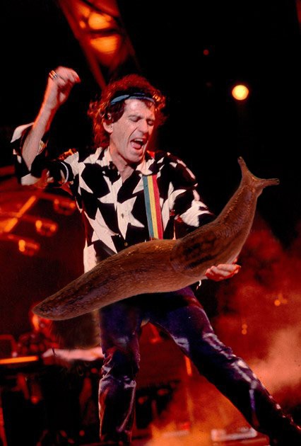 Слизняки вместо гитар в руках увлеченных гитаристов слизняки вместо гитар, подставил гитаристам слизней вместо гитар