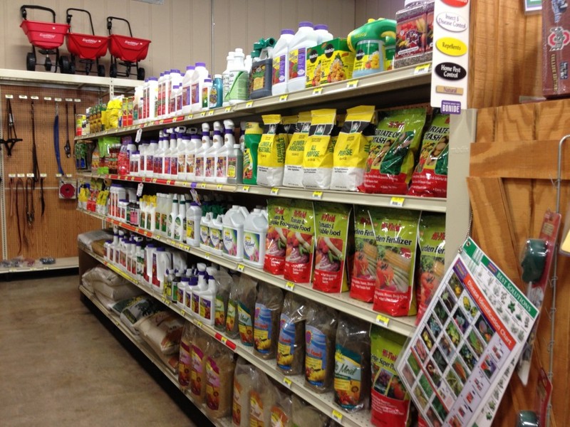 опасные бытовые отходы, утилизация опасных отходов, не следует выбрасывать в мусорное ведро