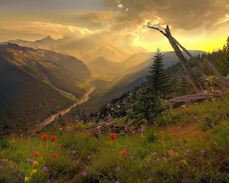 Что нас ждёт после смерти, клиническая смерть, загробная жизнь