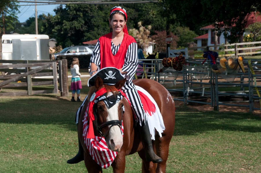 лошади в костюмах, смешные лошади