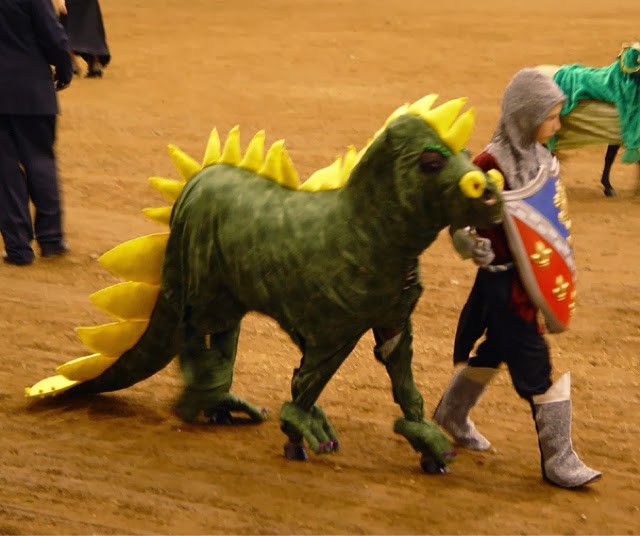 лошади в костюмах, смешные лошади