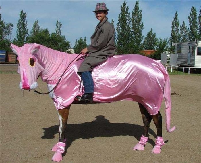 Конь в розовом пальто