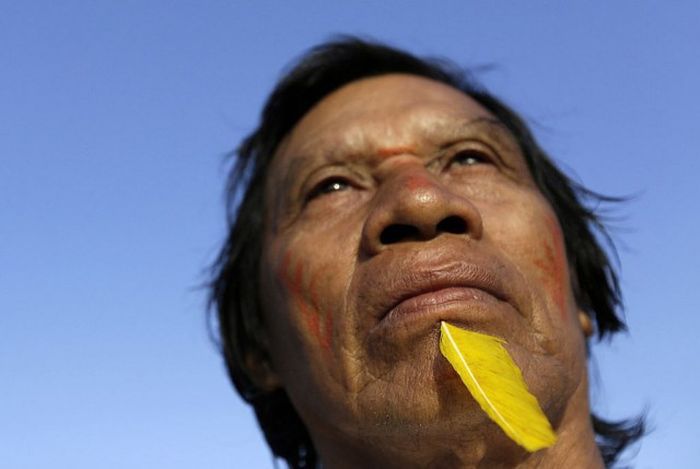 Невероятно жесткий самосуд жителей Амазонии над черными лесорубами жители амазонки расправились над лесорубами, жители Амазонии против черных лесорубов, самосуд амазонки над лесорубами