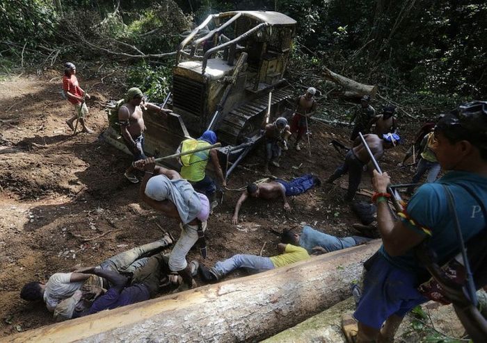 Невероятно жесткий самосуд жителей Амазонии над черными лесорубами жители амазонки расправились над лесорубами, жители Амазонии против черных лесорубов, самосуд амазонки над лесорубами