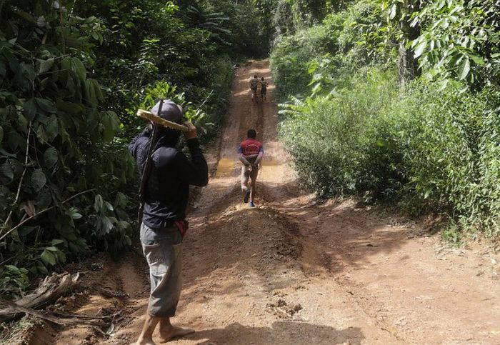 Невероятно жесткий самосуд жителей Амазонии над черными лесорубами жители амазонки расправились над лесорубами, жители Амазонии против черных лесорубов, самосуд амазонки над лесорубами