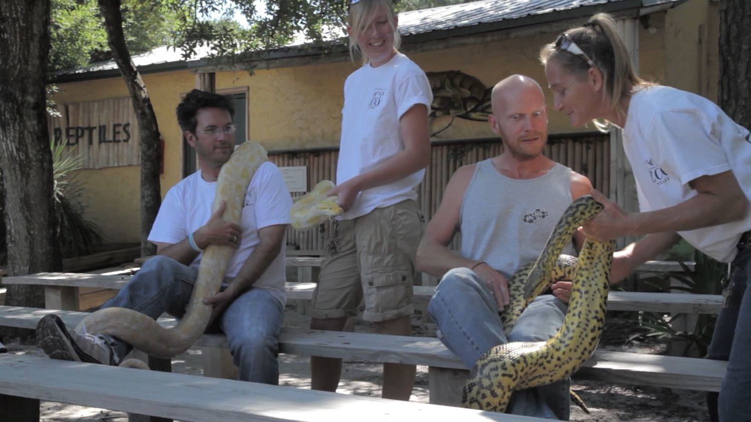 братья отпарвились в путушествие перед тем как ослепнуть, перед тем как ослепнуть братья путешествие