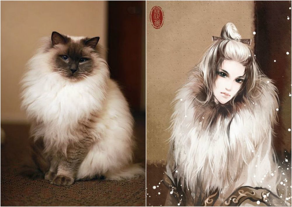художник рисует кошки в персонажи аниме, художник превращает кошек в персонажей аниме
