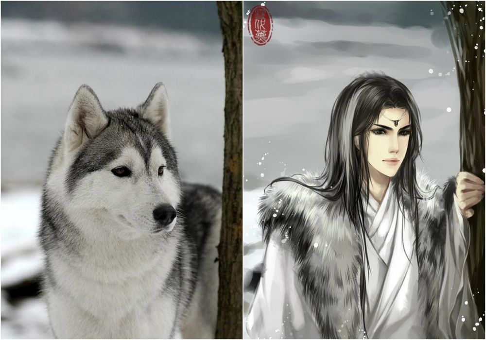 художник рисует кошки в персонажи аниме, художник превращает кошек в персонажей аниме