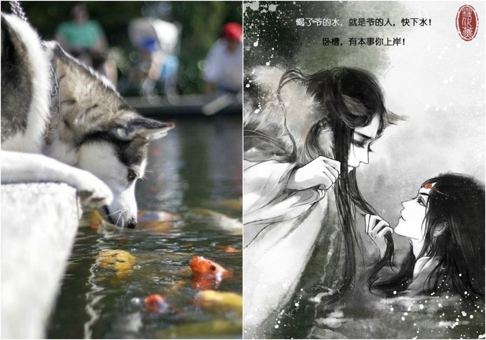 художник рисует кошки в персонажи аниме, художник превращает кошек в персонажей аниме