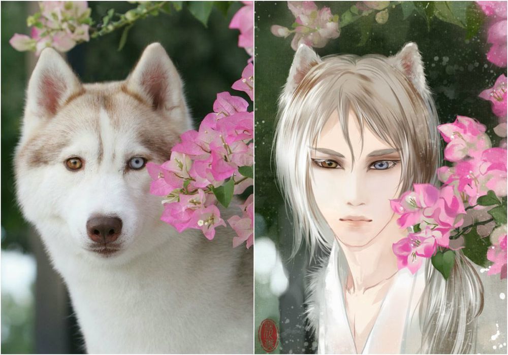 художник рисует кошки в персонажи аниме, художник превращает кошек в персонажей аниме