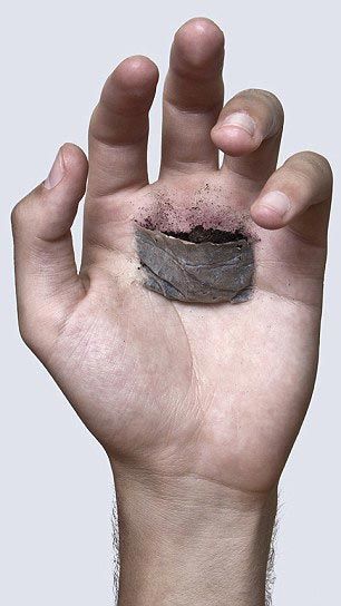 художник превратил руку в кашпо, заполнил ладонь землей, Дэвид Ката, David Cata