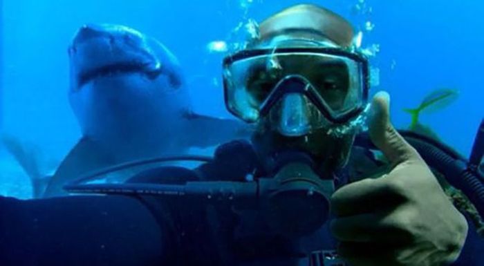 смешные провалы, фэйлы, неудачный день, не повезло