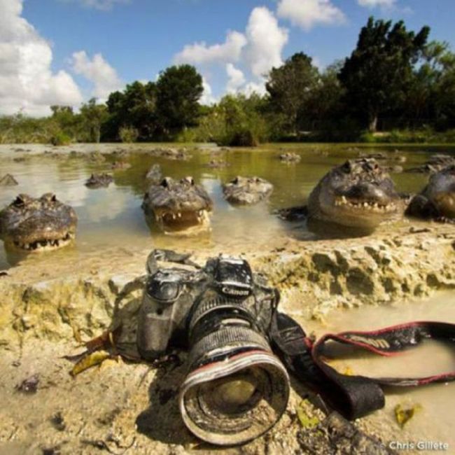 смешные провалы, фэйлы, неудачный день, не повезло