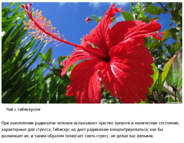 избавиться от стресса, простые способы, как избавиться от стресса