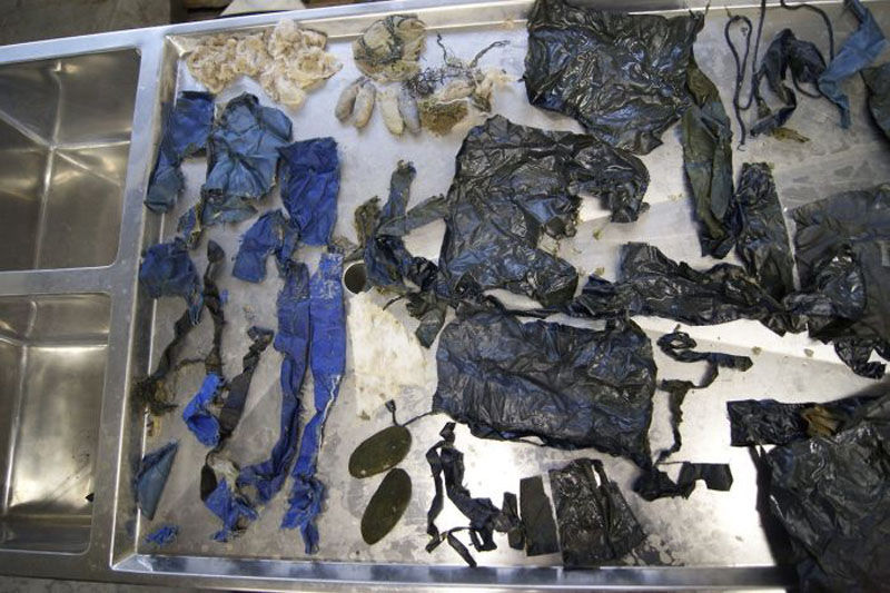 25-летний белый медведь умер по вине посетителей зоопарка 25-летний белый медведь Антон, белый медведь умер, съел куртку и рюкзак, в зоопарке Вильгельма