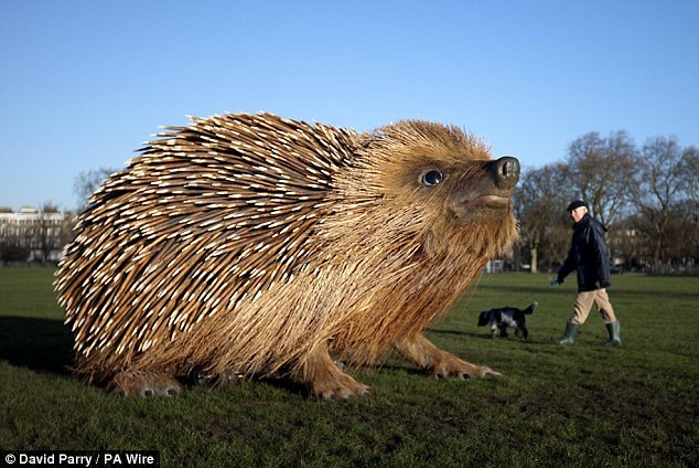 творчество, арт, инсталяции