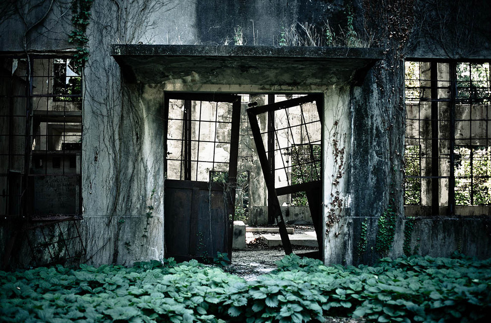 Остров Окуносима, остров кроликов, в Японии, путешествие на остров