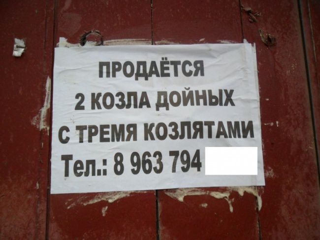 смешные надписи и объявления, маразмы