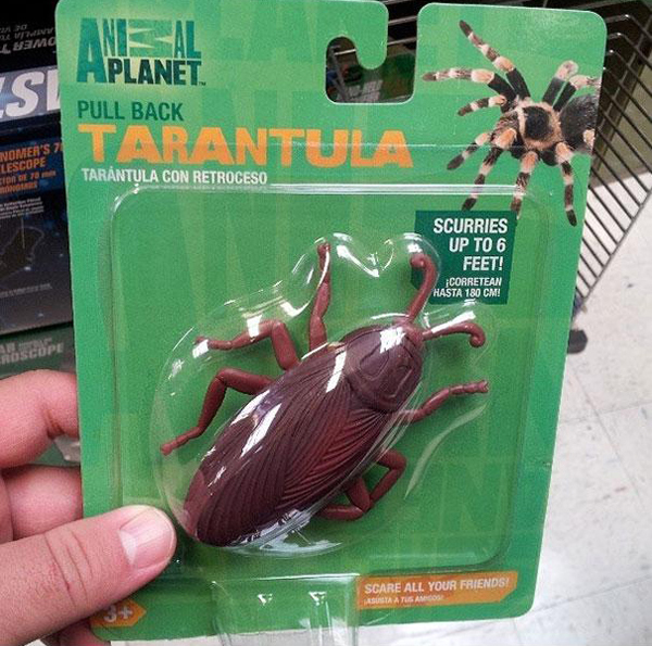 Эти люди немного ошиблись Смешные ошибки, ошибки работников, ошибки производства, косяки рабочих