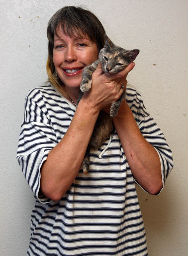 Pixel Munchkins cat, кошка Пиксель, самая низкорослая кошка, манчкин