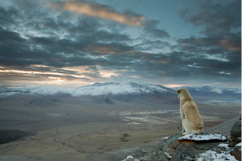 Лучшие снимки первой половины 2014 года, по версии журнала Twisted Sifter Twisted Sifter, лучшие снимки 2014 года