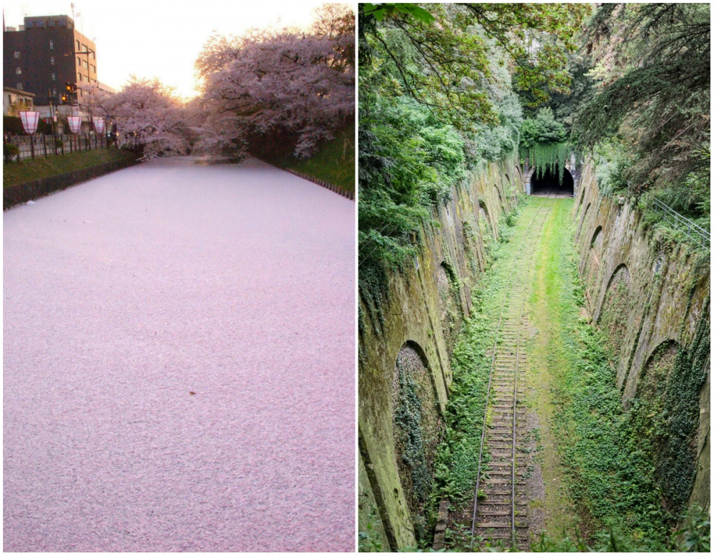 Лучшие снимки первой половины 2014 года, по версии журнала Twisted Sifter Twisted Sifter, лучшие снимки 2014 года