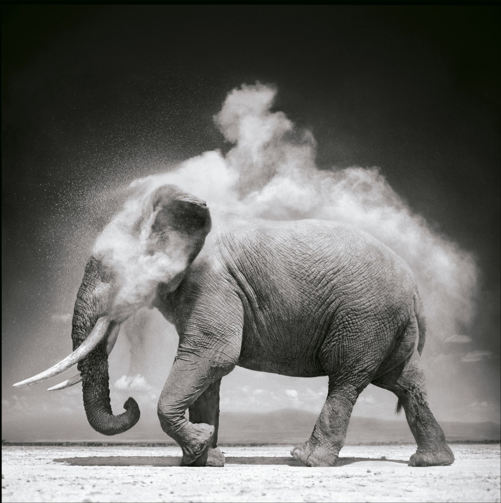 Лучшие снимки первой половины 2014 года, по версии журнала Twisted Sifter Twisted Sifter, лучшие снимки 2014 года