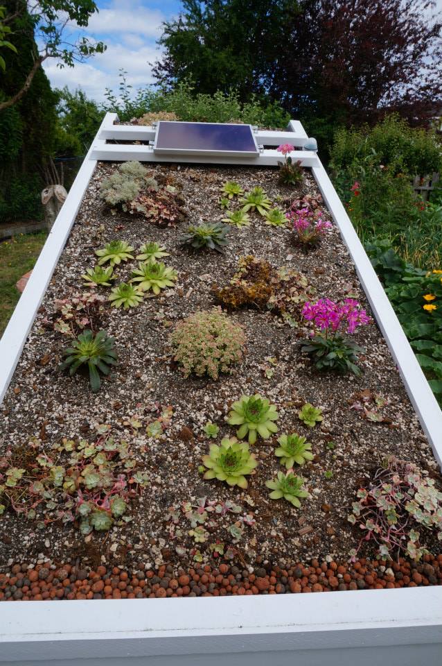 шикарный курятник, самый роскошный курятник, курятник своими руками, супер курятник