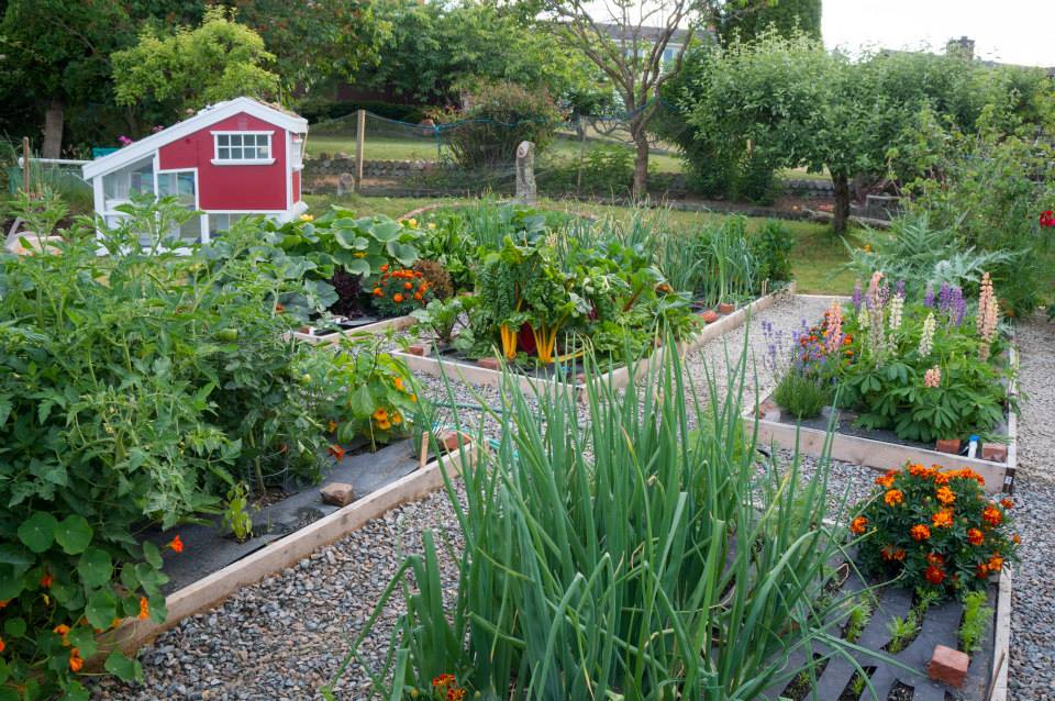 шикарный курятник, самый роскошный курятник, курятник своими руками, супер курятник