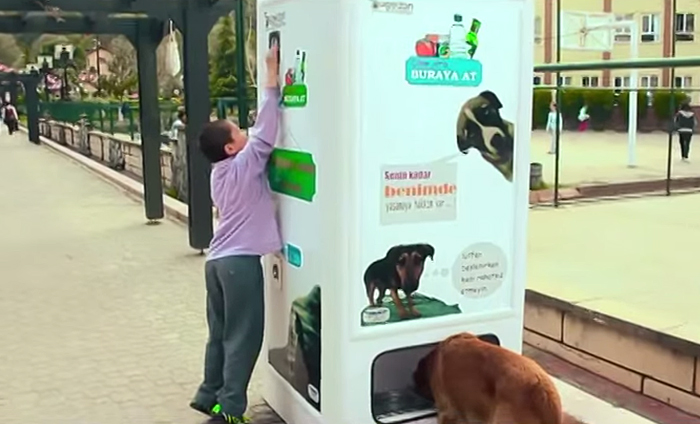 Pugedon vending machine, автомат бездомные животные турция