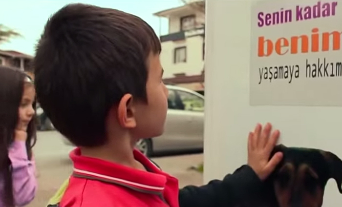Pugedon vending machine, автомат бездомные животные турция