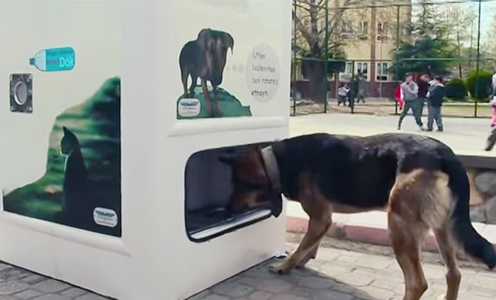 Pugedon vending machine, автомат бездомные животные турция