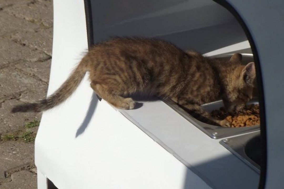 Pugedon vending machine, автомат бездомные животные турция