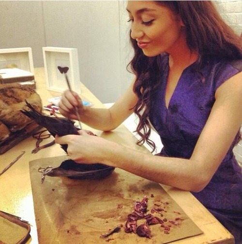 Таксидермистка съедает мясо животных, Эль Кей Elle Kaye