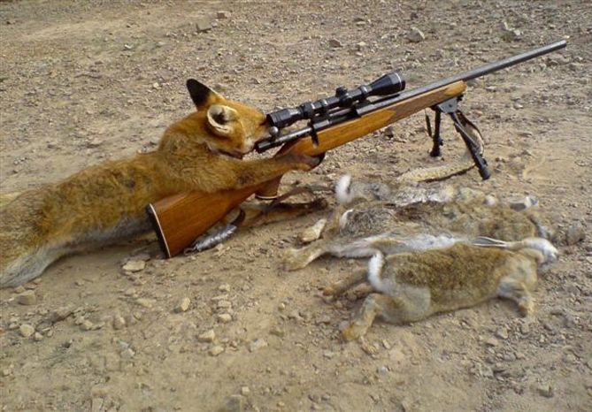 О том как всё изменилось или эволюция в смешных картинках О том как всё изменилось, эволюция в смешных картинках, смешная эволюция