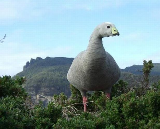не верь глазам своим, в стиле показалось, это не то что вы подумали