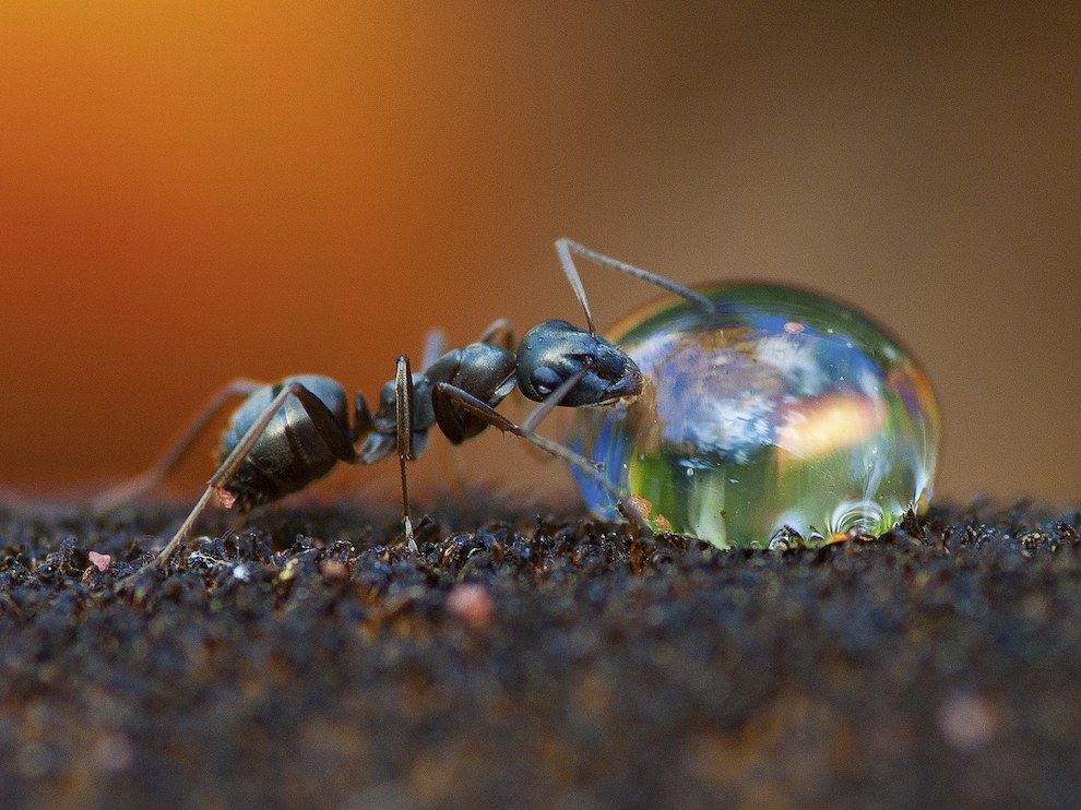 National Geographic за ноябрь 2014, лучшие фотографии National Geographic
