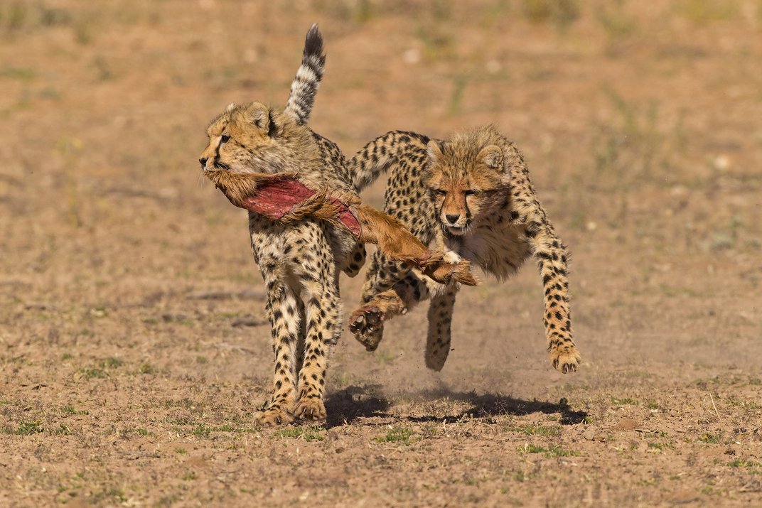 Финалисты 11-го ежегодного фотоконкурса Smithsonian Magazine 2014 Финалисты Smithsonian Magazine 2014