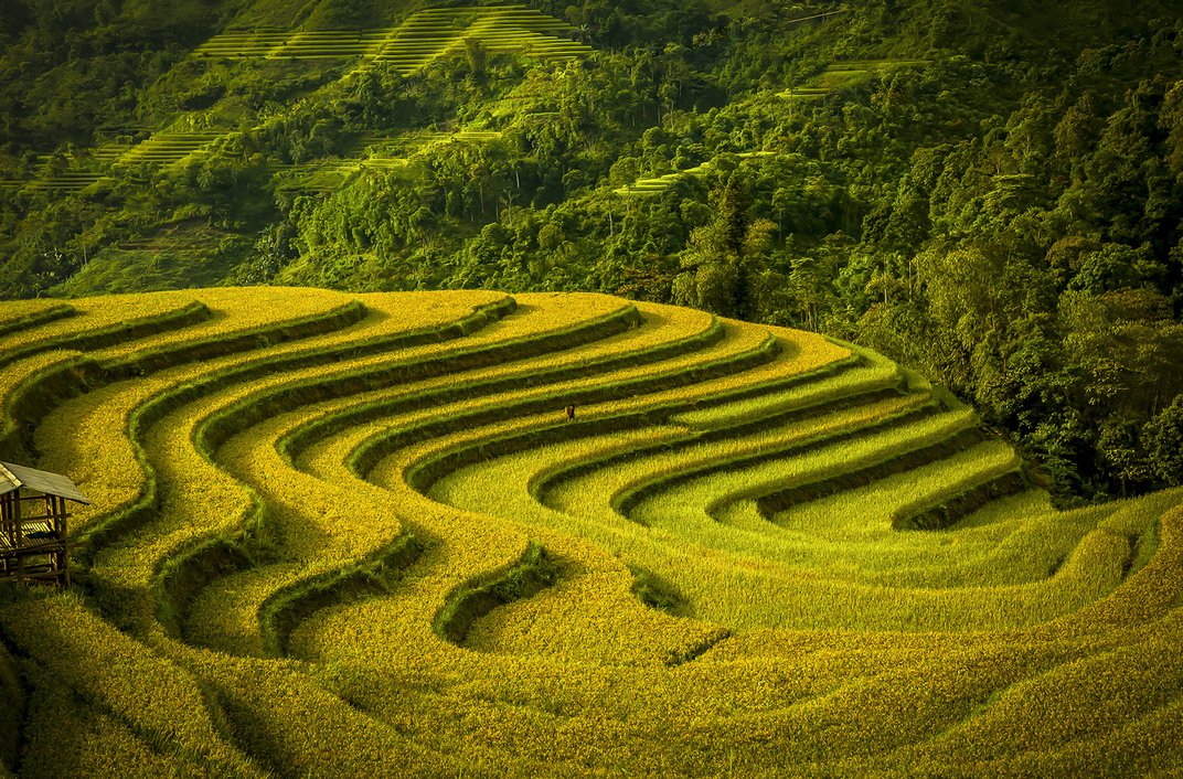 Финалисты 11-го ежегодного фотоконкурса Smithsonian Magazine 2014 Финалисты Smithsonian Magazine 2014