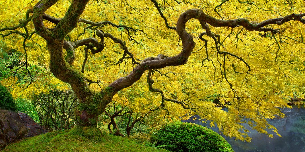 Финалисты 11-го ежегодного фотоконкурса Smithsonian Magazine 2014 Финалисты Smithsonian Magazine 2014