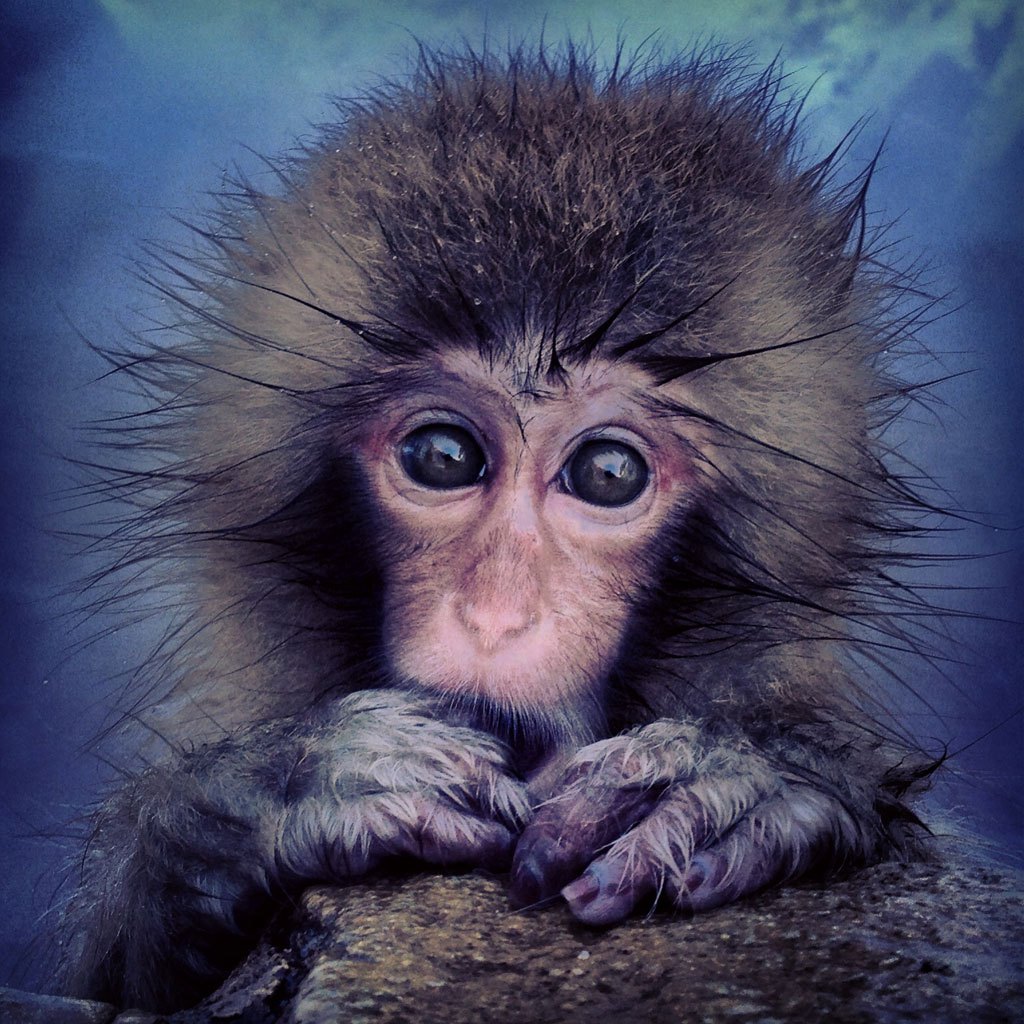 Финалисты 11-го ежегодного фотоконкурса Smithsonian Magazine 2014 Финалисты Smithsonian Magazine 2014