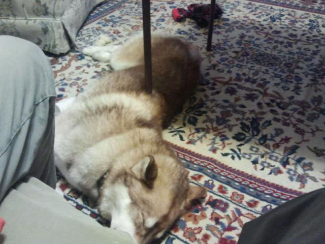 иллюзии в стиле показалось, фотоиллюзии