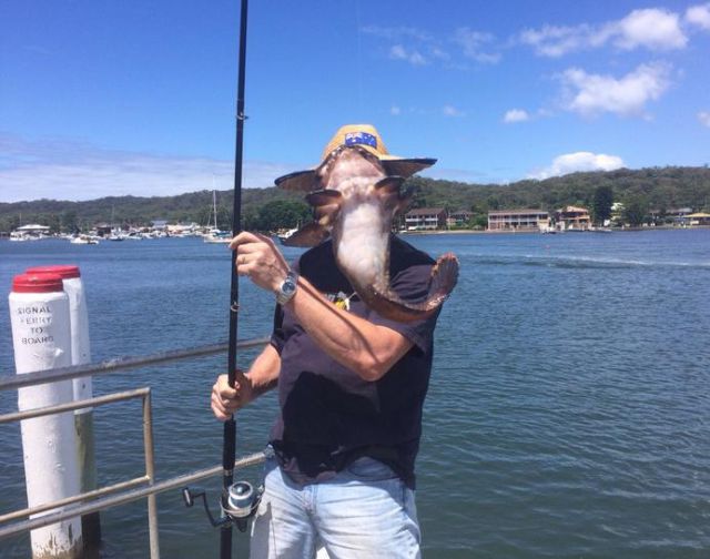 иллюзии в стиле показалось, фотоиллюзии